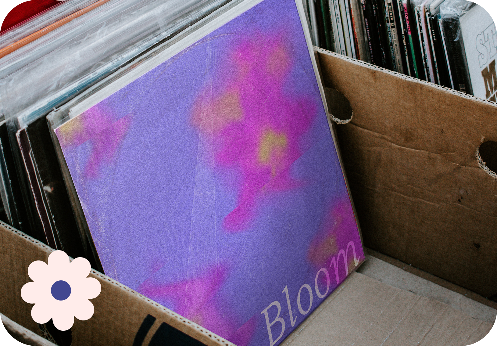 Mockup projet BLOOM .