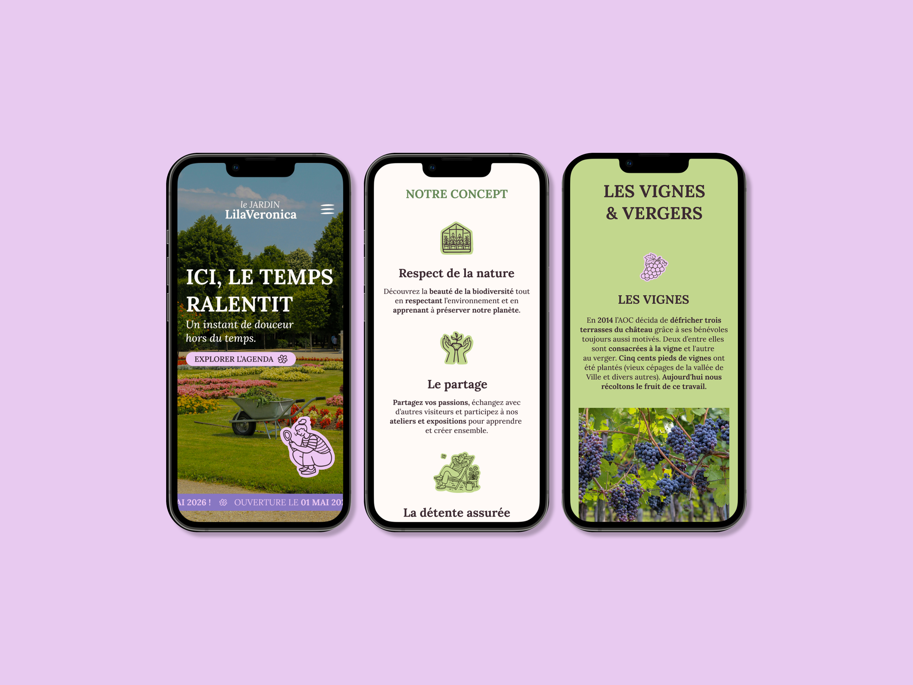 Mockup lilaveronica